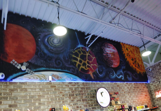 Space Wall Mural