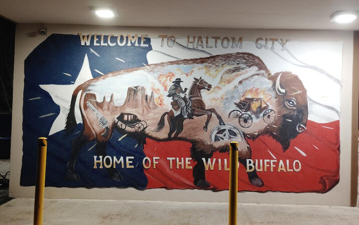 Haltom City Buffalo Haltom City Buffalo